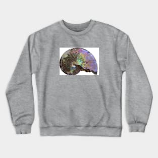 Colourful Nautilus Crewneck Sweatshirt